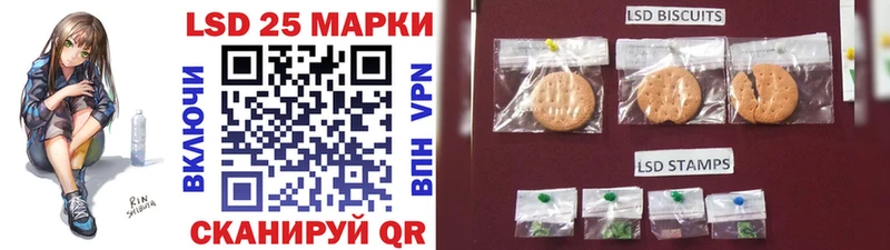 Марки N-bome 1,8мг где купить наркоту Елизово