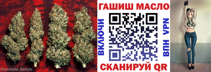 Дистиллят ТГК гашишное масло MEGA маркетплейс Елизово закладка