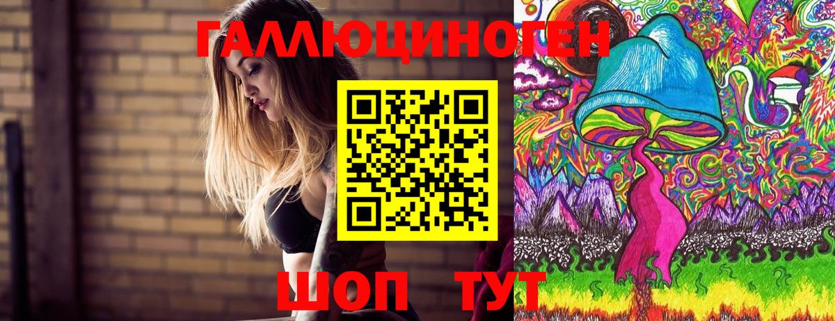 Галлюциногенные грибы Cubensis  Вход с VPN  Псилоцибиновые грибы прущие грибы  Елизово 
