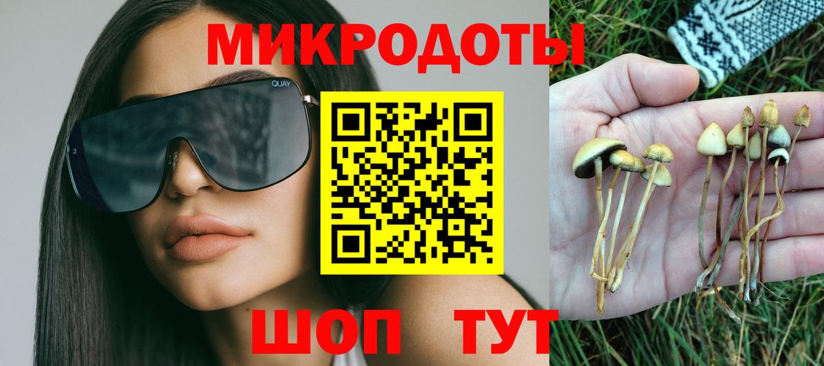 Псилоцибиновые грибы мухоморы Елизово