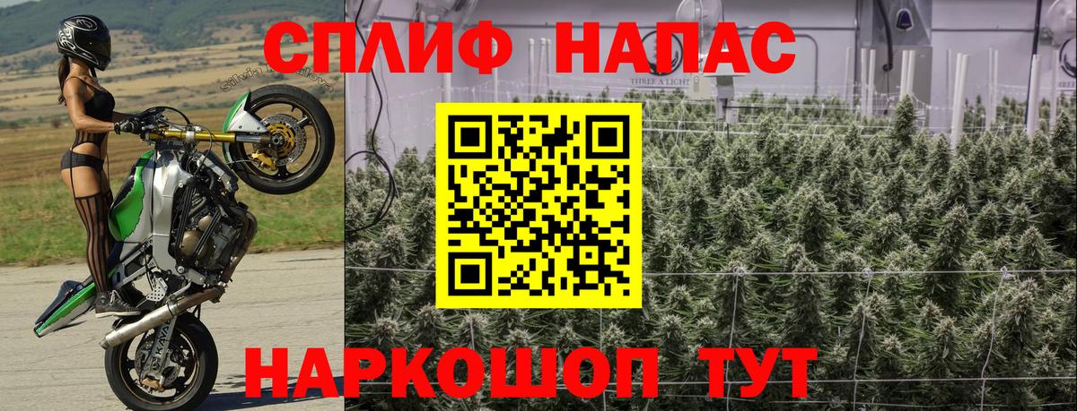 Каннабис план Елизово
